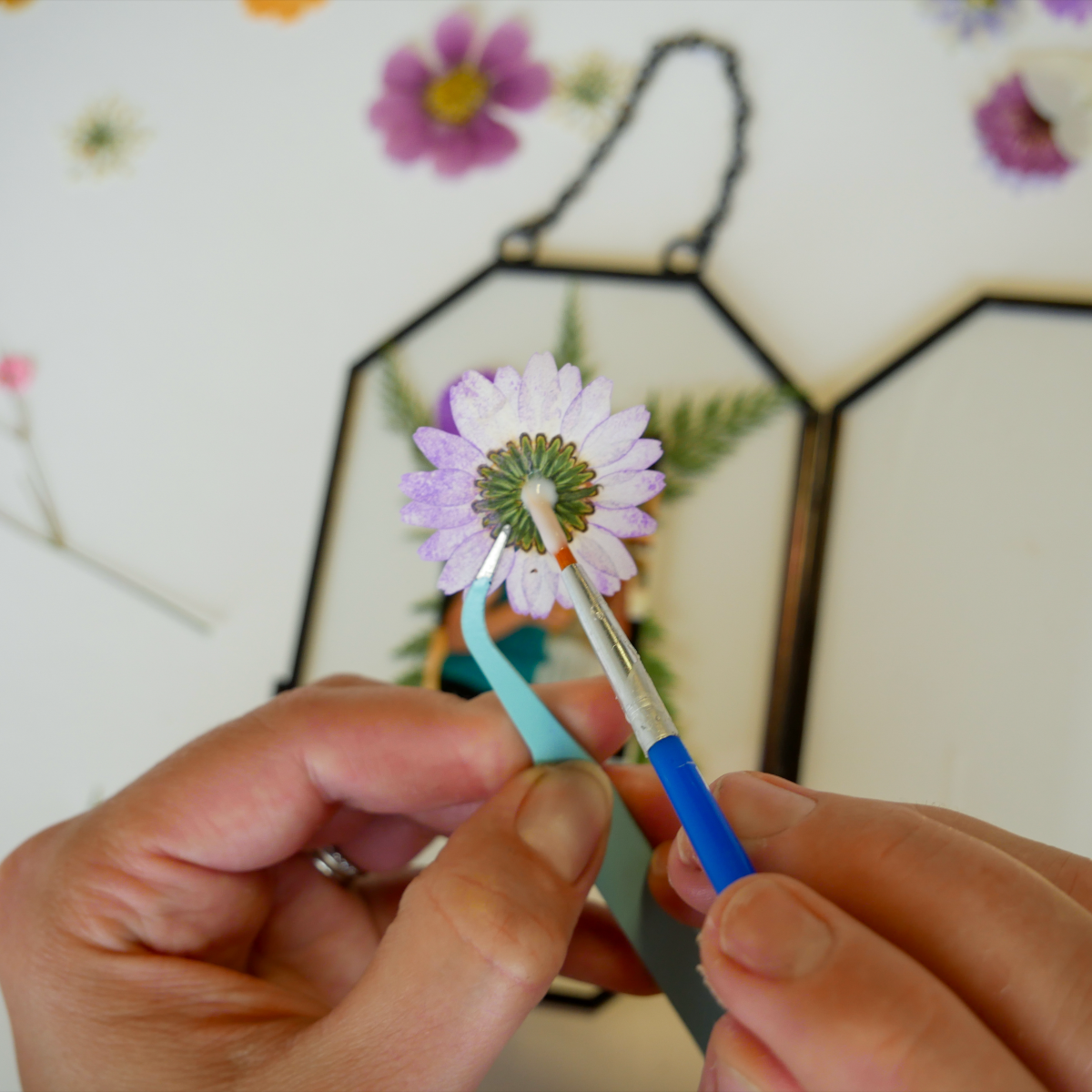 Make Framed Pressed Flowers