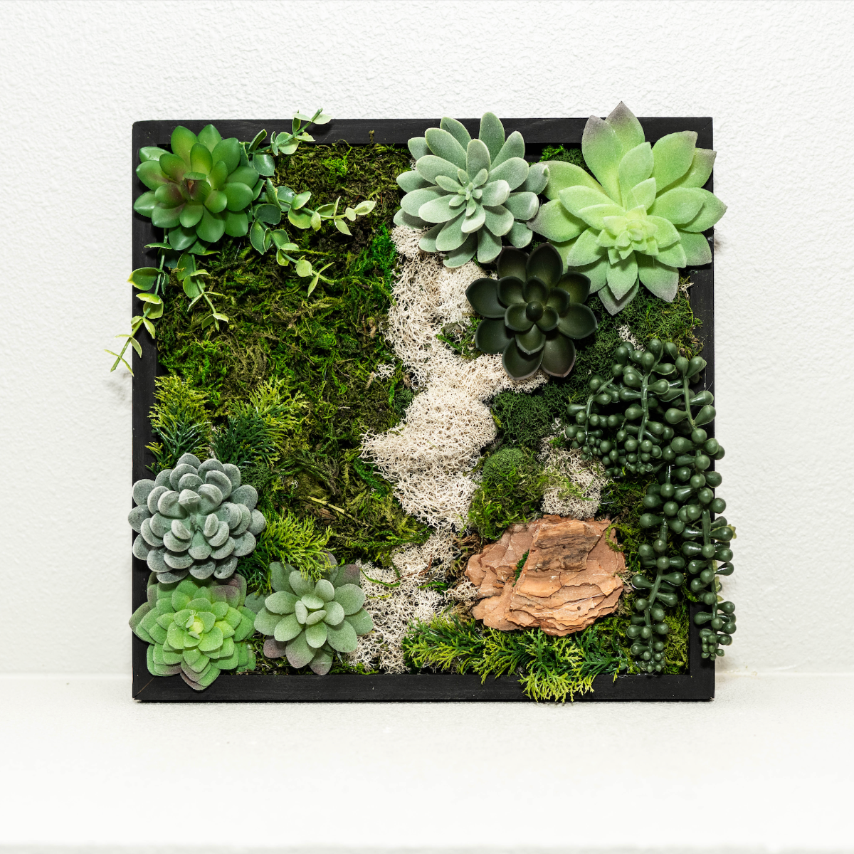 Create a Moss Wall