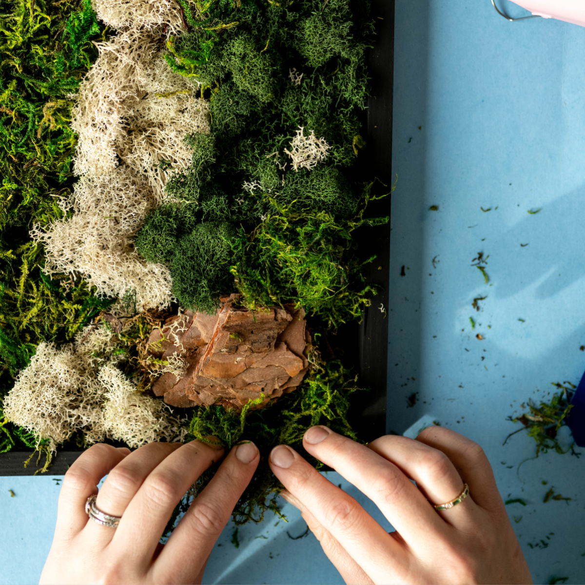 Create a Moss Wall