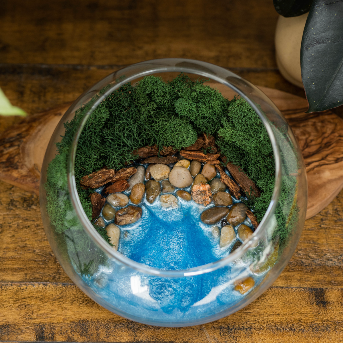 Create a Resin Terrarium